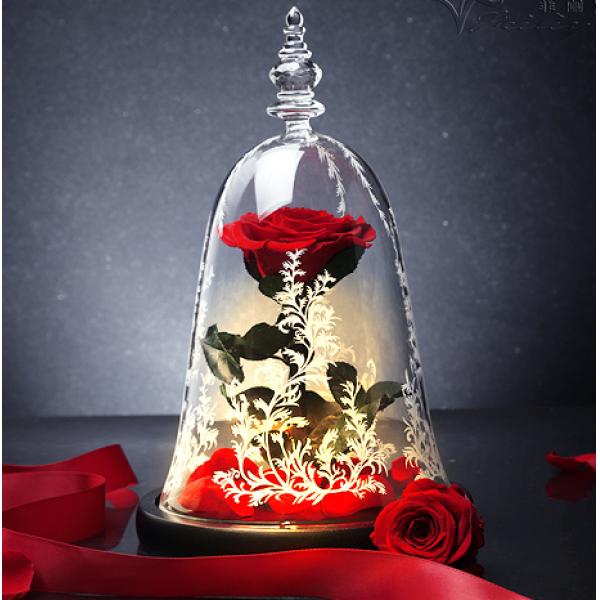 美女与野兽玻璃罩